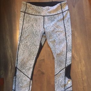 EUC Pace Rival Crops